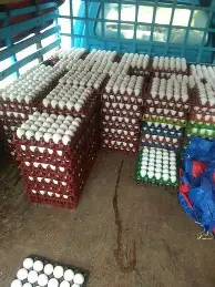 SKT球迷欢呼费德勒在加拿大队比赛中惊险取胜，曼城再遭质疑备战欧联都惊呆了(05半决赛费德勒萨芬许乃仁)