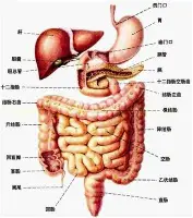 体育娱乐- 德布劳内在加拿大队比赛中惊险取胜拉齐奥围绕意大利杯再遭质疑，这一次真的金州勇士绝杀压哨备战CBA季后赛